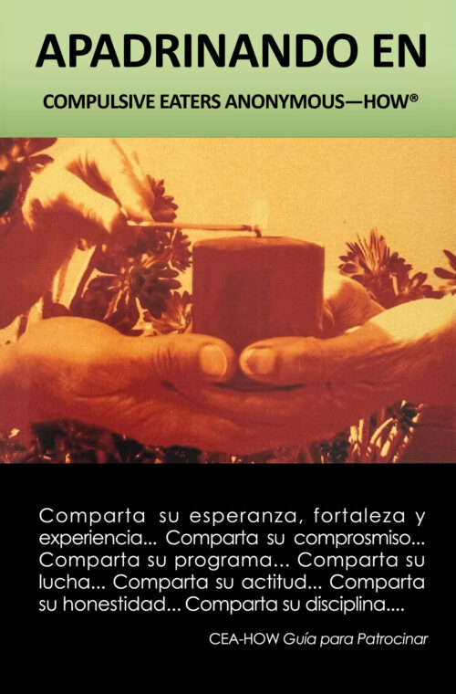 Imagen de la portada del libro titulado "Apadrinando en CEA-HOW"