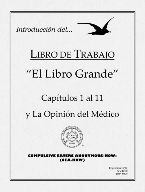 Portada del cuaderno titulado "Introducción del El Libro Grande"